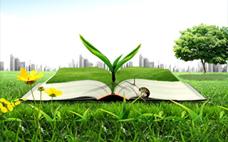 大型臭氧發(fā)生器廠(chǎng)家